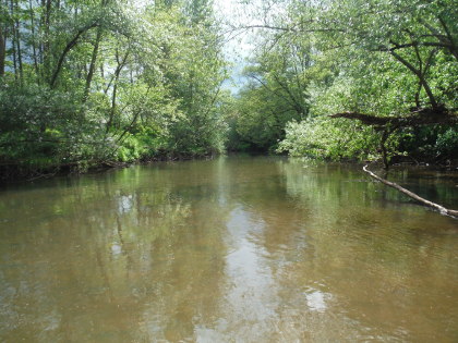 Monnow Valley at mayfly time