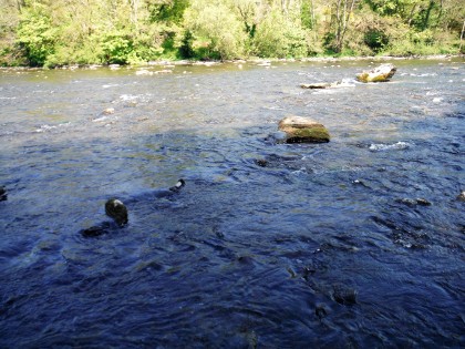 You could cross the Wye in Wellington boots