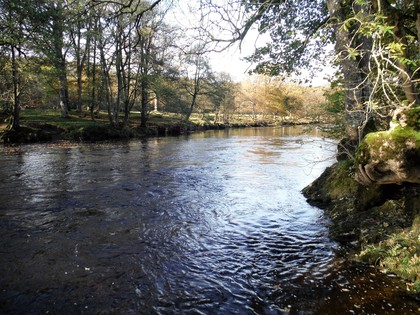 The Wye and Usk Foundation