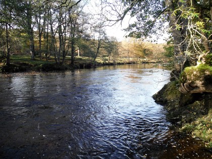 Fly fishing the RIVER WYE Wales - with HYWEL MORGAN - How to EURO NYMPH  using a French Leader 