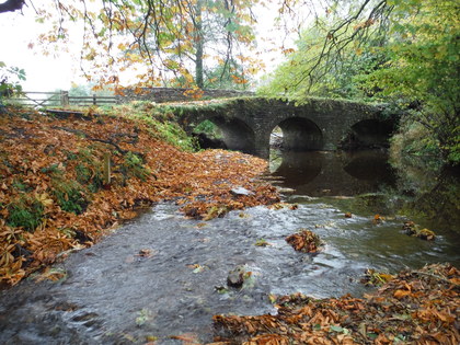 The Dore at Chanstone Court