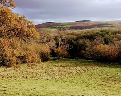 Aberbwtran in the Irfon Vally