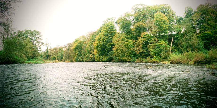 The Trostre beat of the Usk on the last day of the season. Photo: James Manning