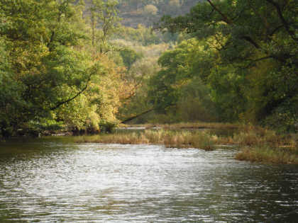 Autumn at Cefnllysgwynne