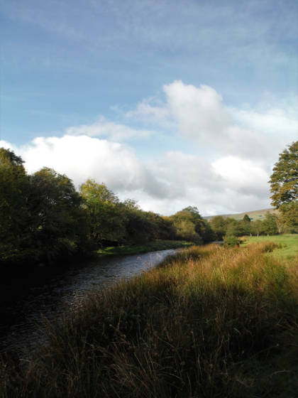 Colonel's Water on the upper Irfon