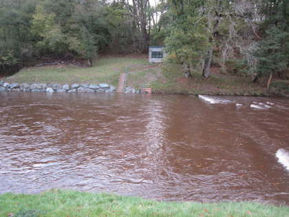 Irfon at Cefnllysgwynne on 21st Oct