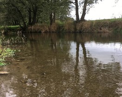 Eyton beat on the Lugg still low 20th Oct