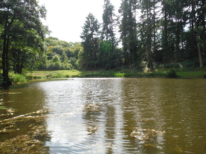 A nice ripple for the dry fly