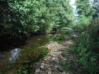 Upper Monnow, virtually no flow