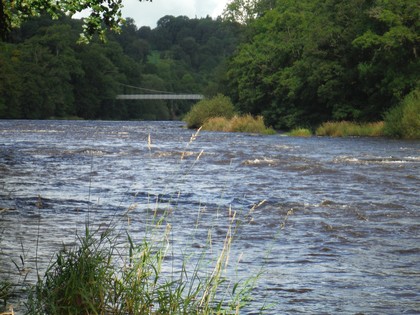 Upper Wye and high water comes romping down into Dolmeudwy