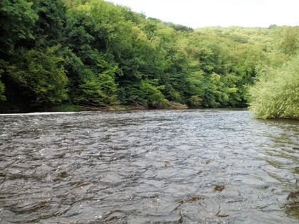 Salmon water at Lower Symonds Yat