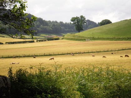 Late Summer in the valley of the Lugg