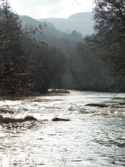 A lovely fish from a tributary of the River Monnow in England