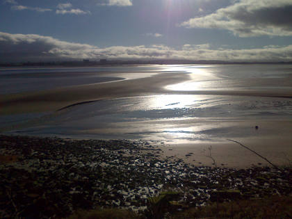 Severn salmon fishing grounds at low tide