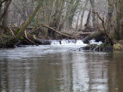 Monnow grayling pool