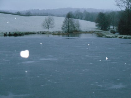 Still winter - a frozen forest pool