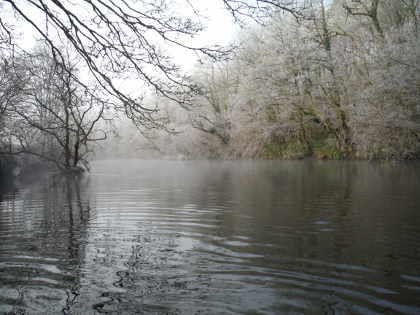 Cefnllysgwynne Irfon at fishing height