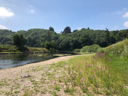 The Wye at Goodrich at the end of July