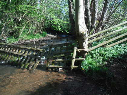 Cattle gate in place - anglers access over wooden fence to the right