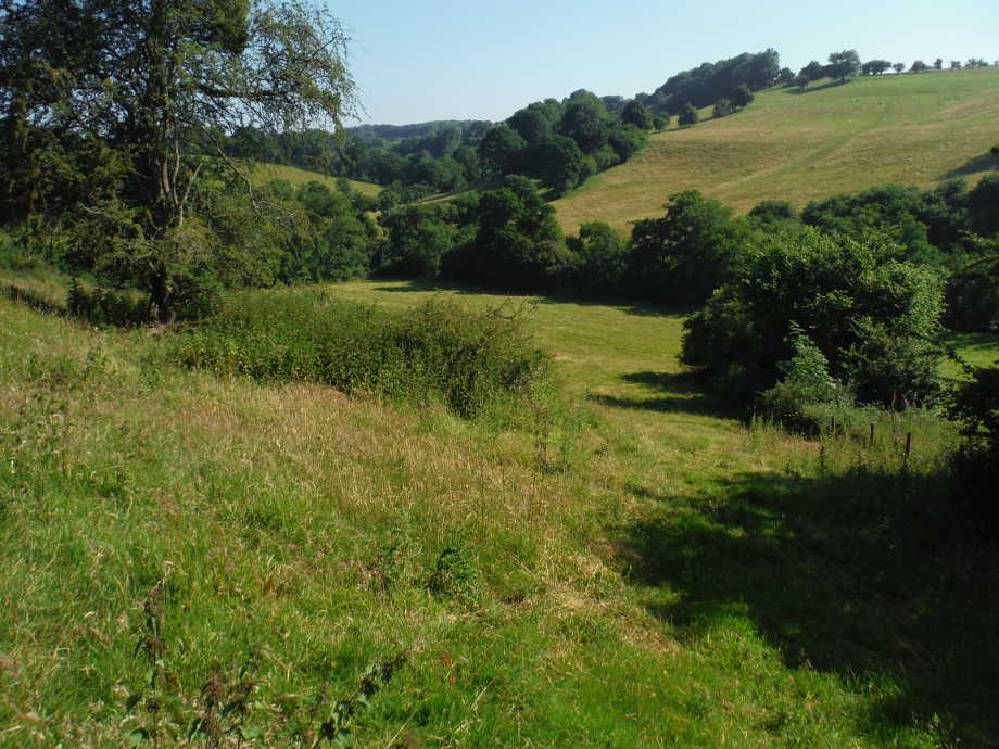 Valley of the Escley Brook