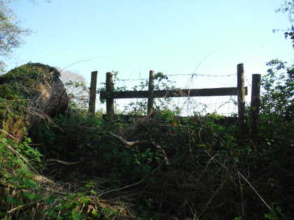 Barbed wire across the angler's stile