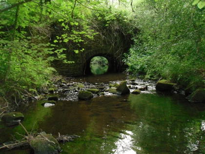 Blackpool brook