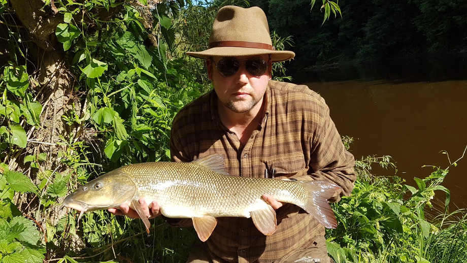 Barbel