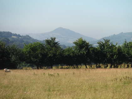 Skirrid Mountain through the heat haze