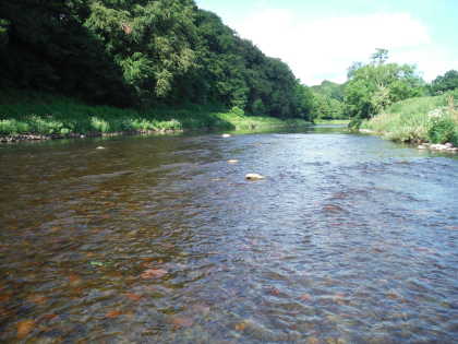 Summer levels on the Lower Usk