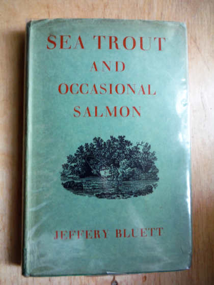 Bluett on sea trout
