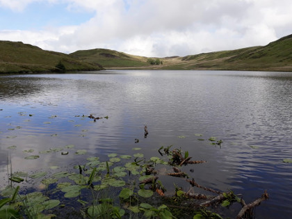 Llyn Bugeilyn - GJ from Sevenoaks