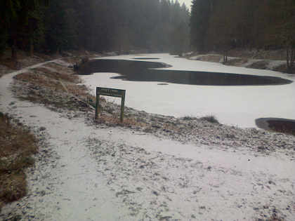 First of March on a Forest pool