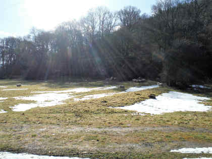 By the Usk at Dinas