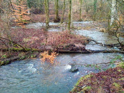 High water on the Blackpool Brook