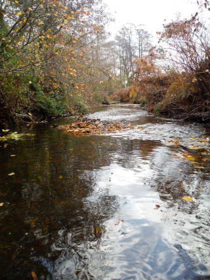 Cleaning on Bideford Brook