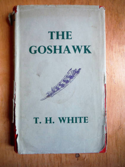 The Goshawk