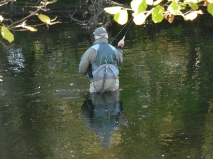 Dry fly fishing for autumn grayling