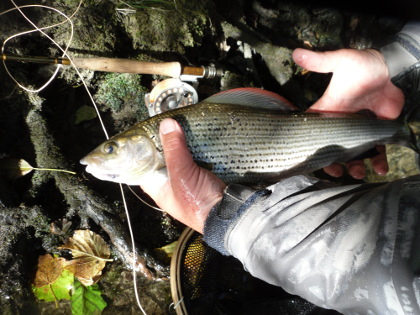 The Bloodworm Trap – a South African Take on the Pennel Rig