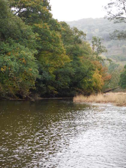 Irfon grayling fishing