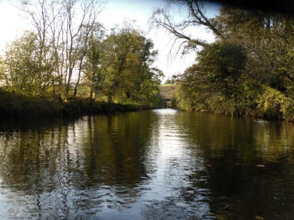 Autumn on the Irfon