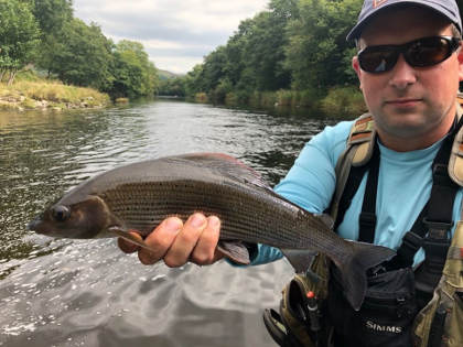 Craig Llyn grayling – DM and SW of Herefordshire