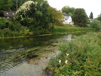 Avon near Woodford village