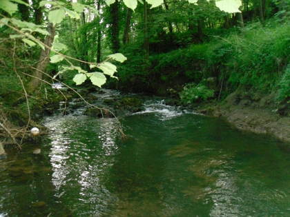 Cannop Brook at Norchard Colliery