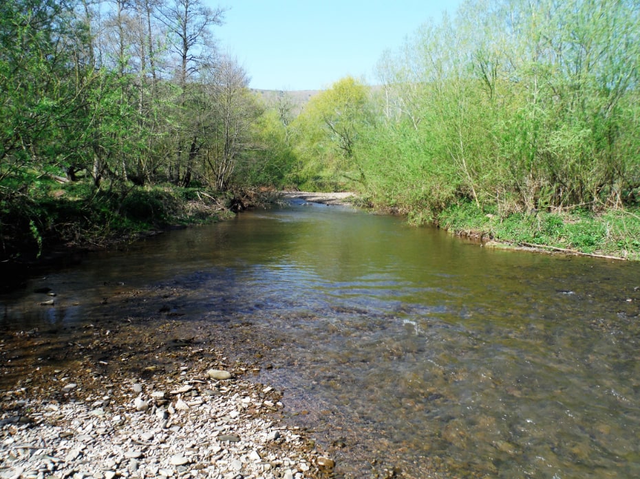 Monnow spring