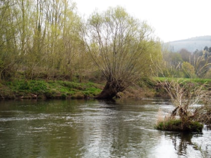 Early spring at Abergavenny