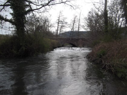 The Rodd beat of the Hindwell in high water, BP of Pembridge