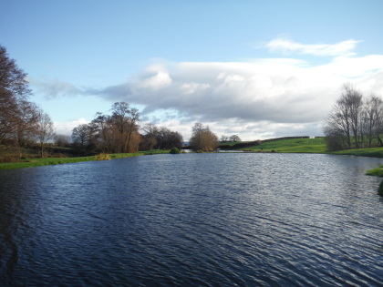 Buzzer water and a nice ripple to pull the floating line round