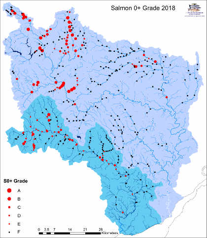 Combined WUF/NRW 2018 electrofishing results for salmon fry, Wye and Usk catchments.