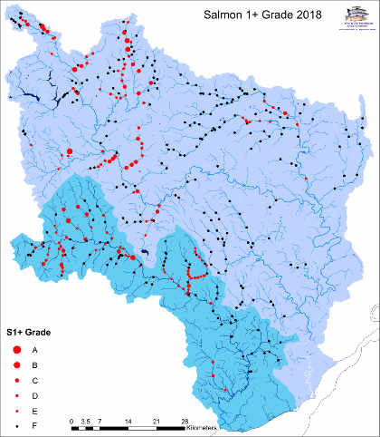 Combined WUF/NRW electrofishing results for salmon parr, Wye and Usk catchments.