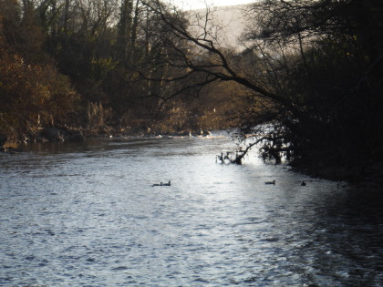 New Year's day on the Taff